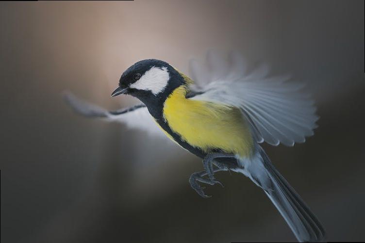 can you drive to london