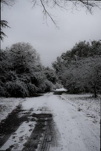 favourite things to do in london