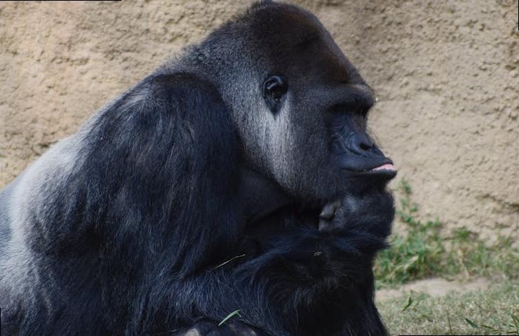 favourite things to do in london