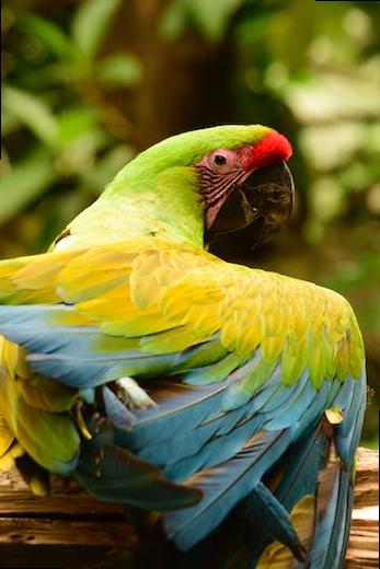 how do london postcodes work