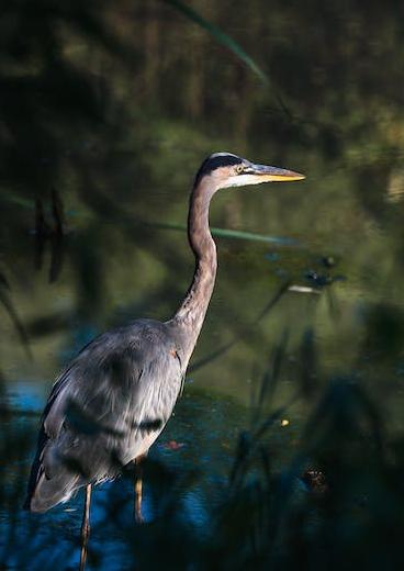 how do london postcodes work