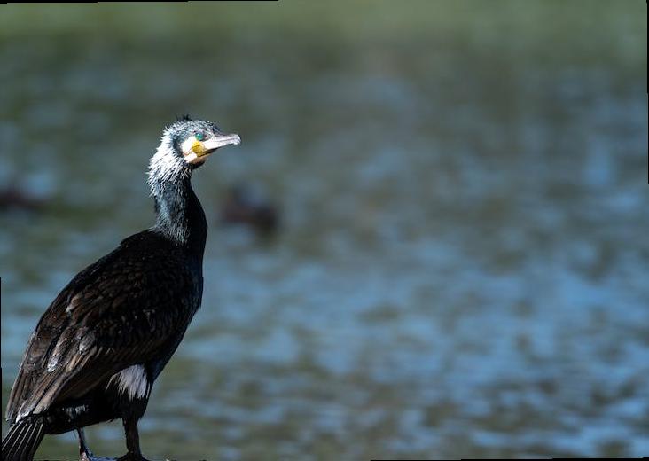 how long does london dungeon last