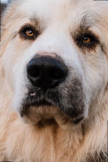 how many londons are there