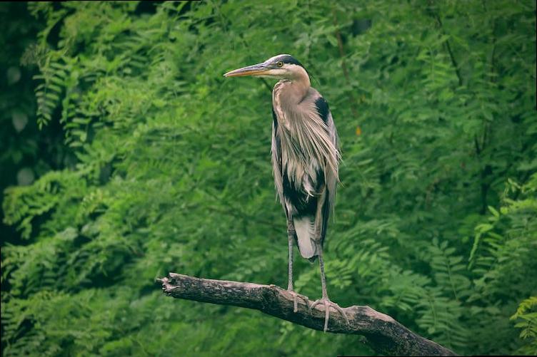 how much do nurses in london make