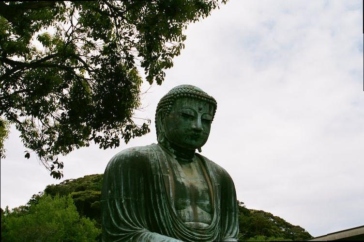 how to check london congestion charge