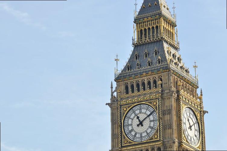 how to get rid of mice london
