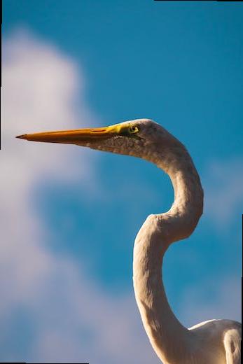 how to stay in london cheap