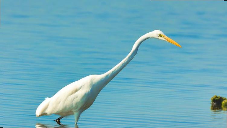 is it ok to drink in london