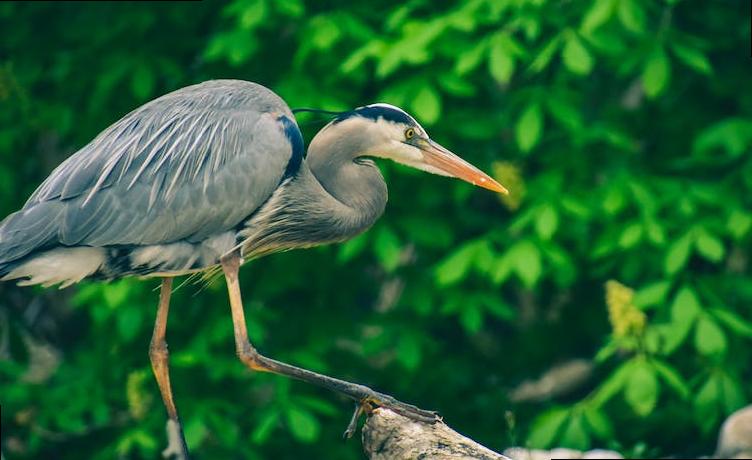 is it ok to drink in london
