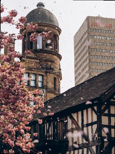 london cafes to visit