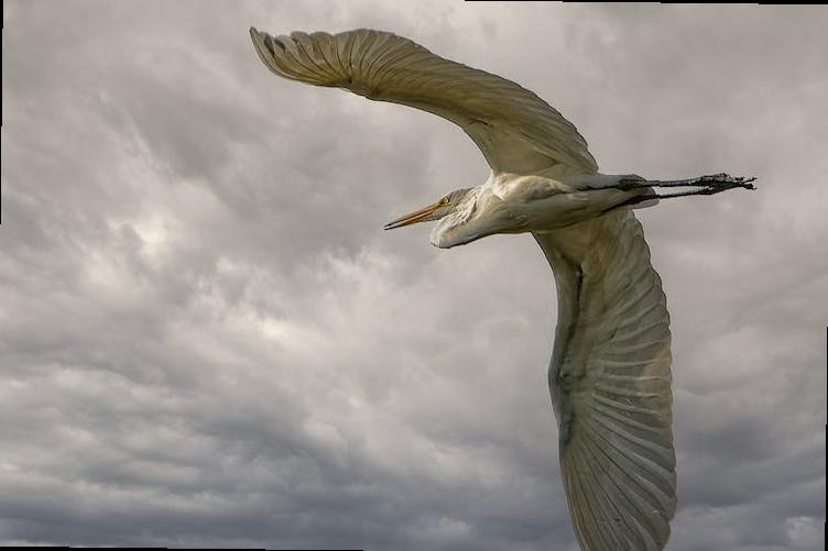 places to visit in london