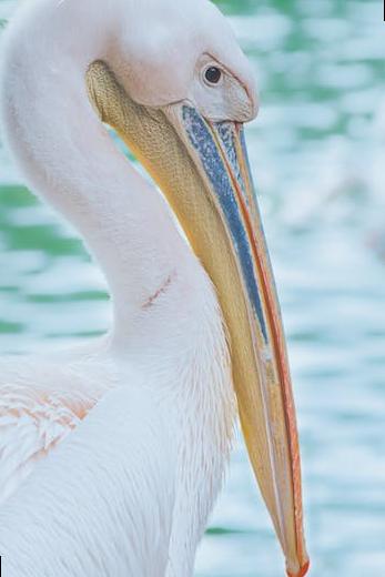 reasons to study in london