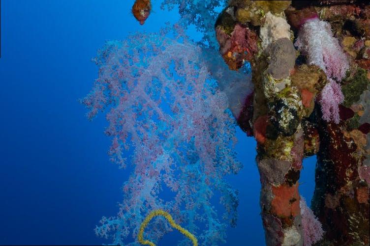 why is london a good place to live