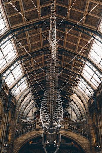 why london is the best place to live